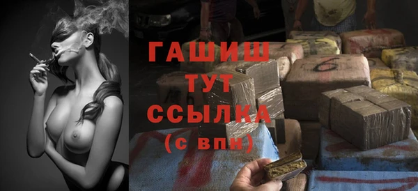 дмт Богданович
